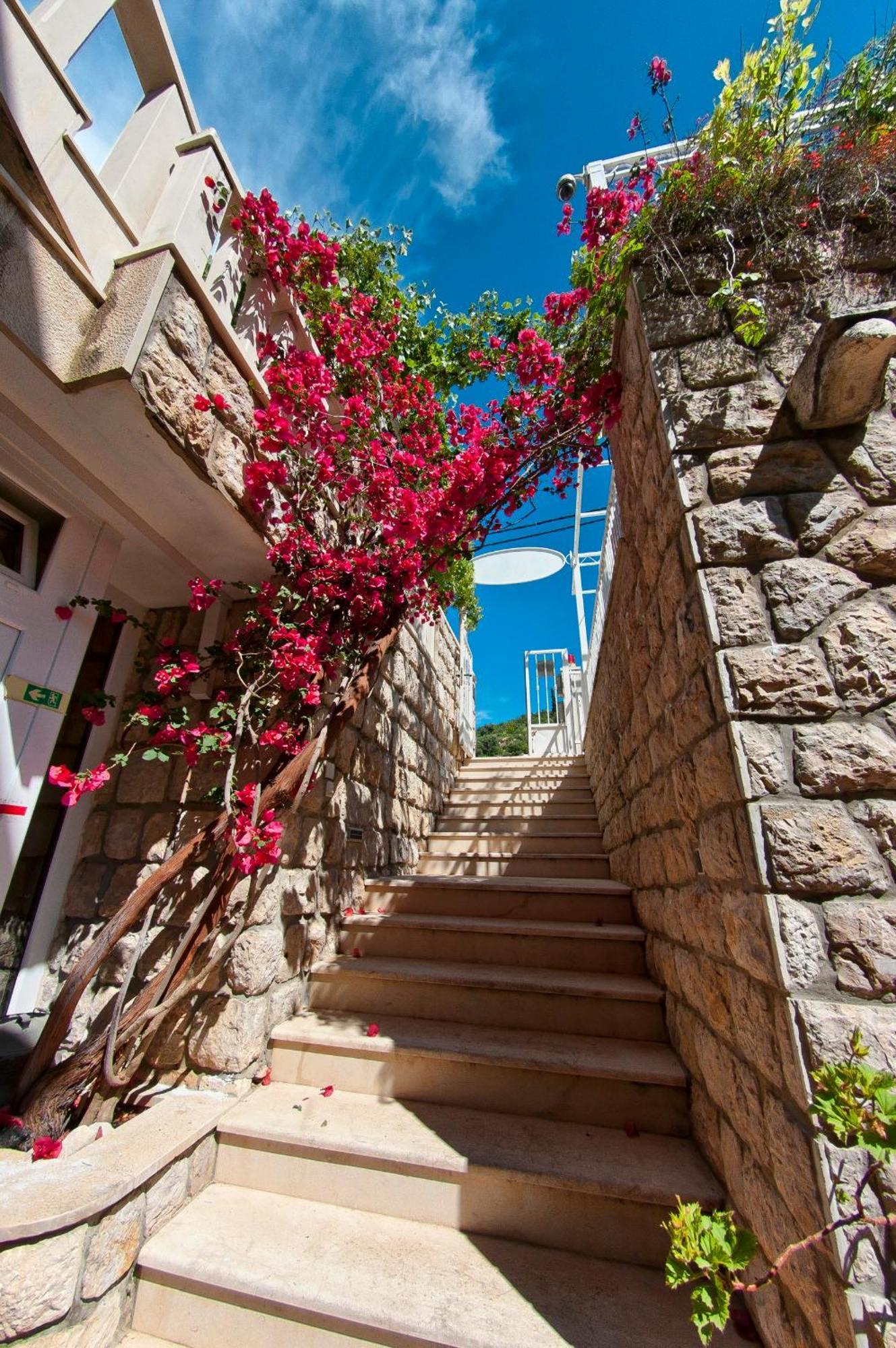 Villa Ana 2 Zaton  Ngoại thất bức ảnh